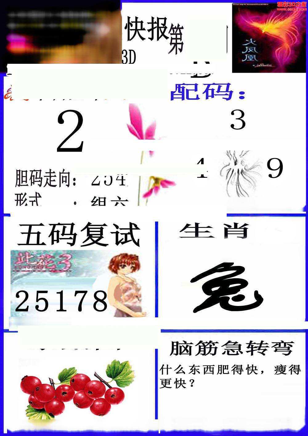 二四六香港资料期期准117图片