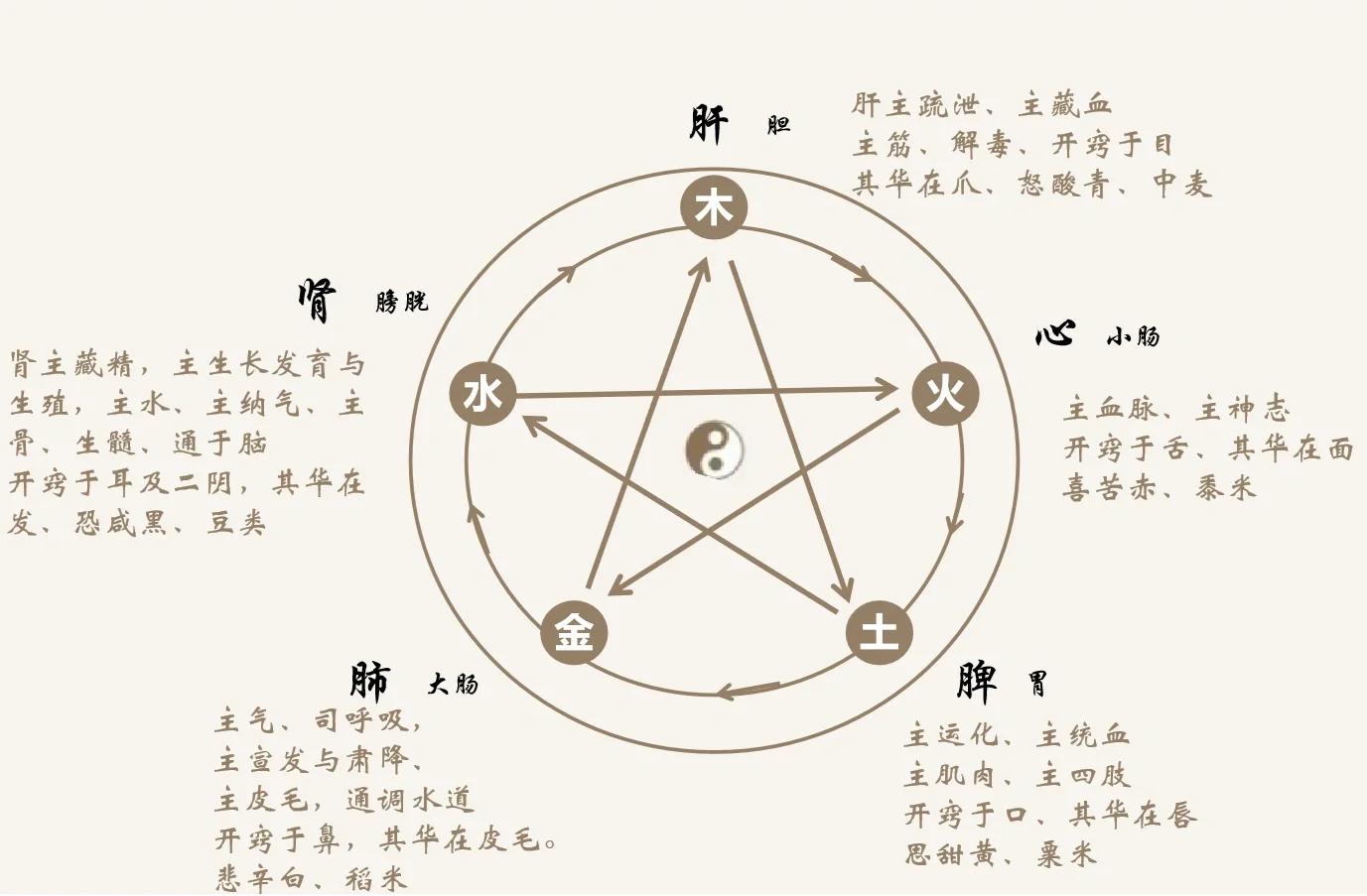 肝对应五行