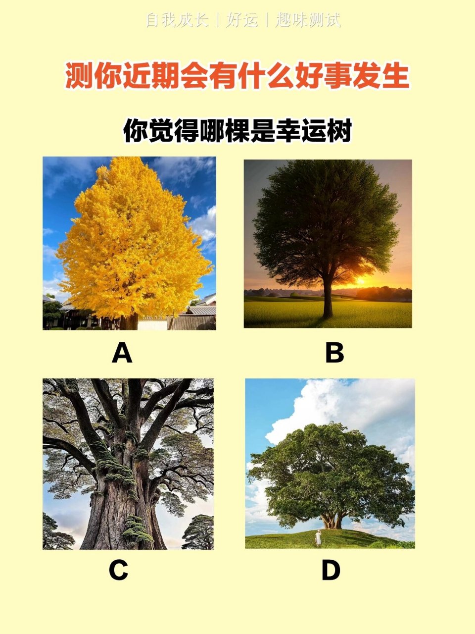 科普展现:幸运测试（幸运测试小说）
