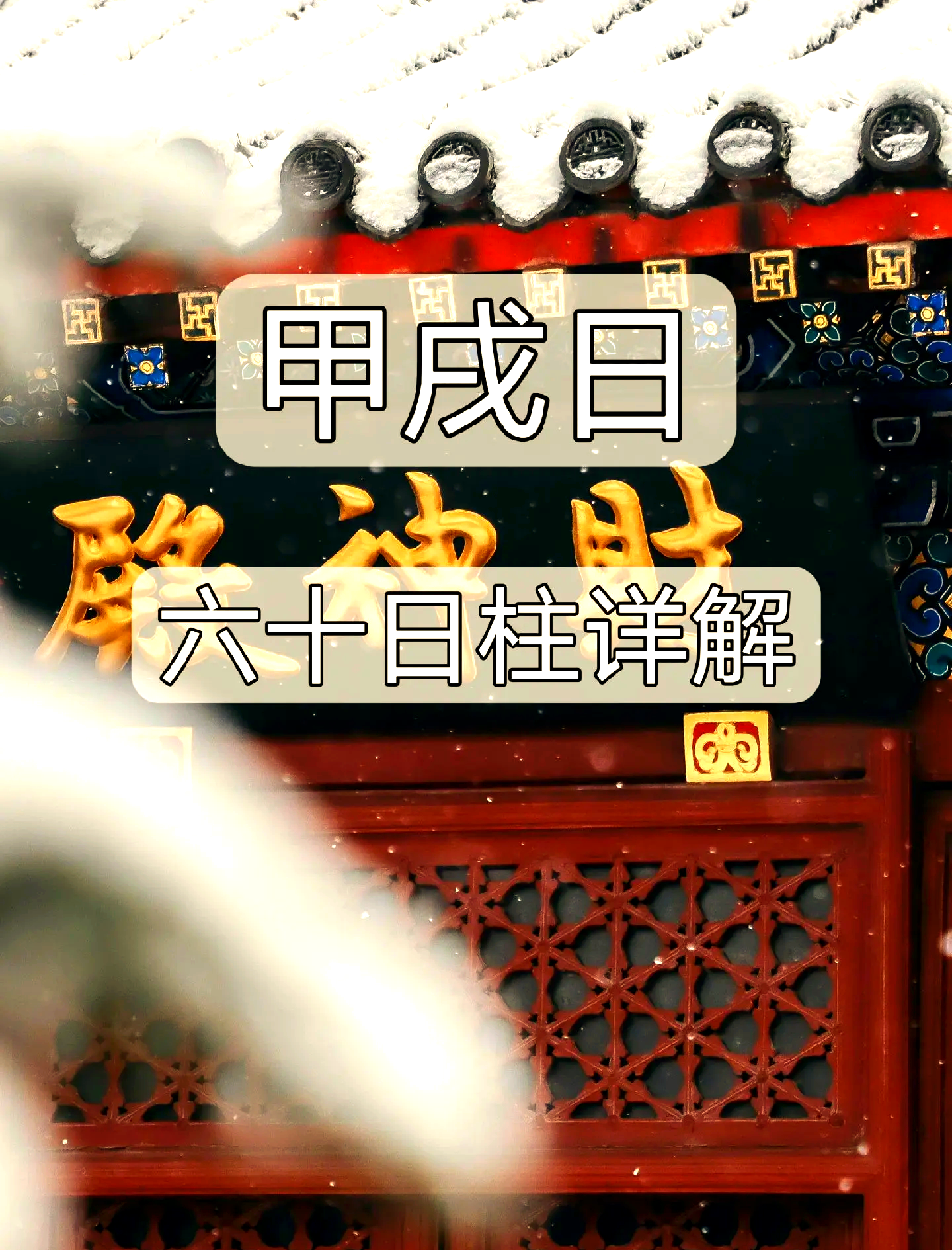 戊子日柱女命