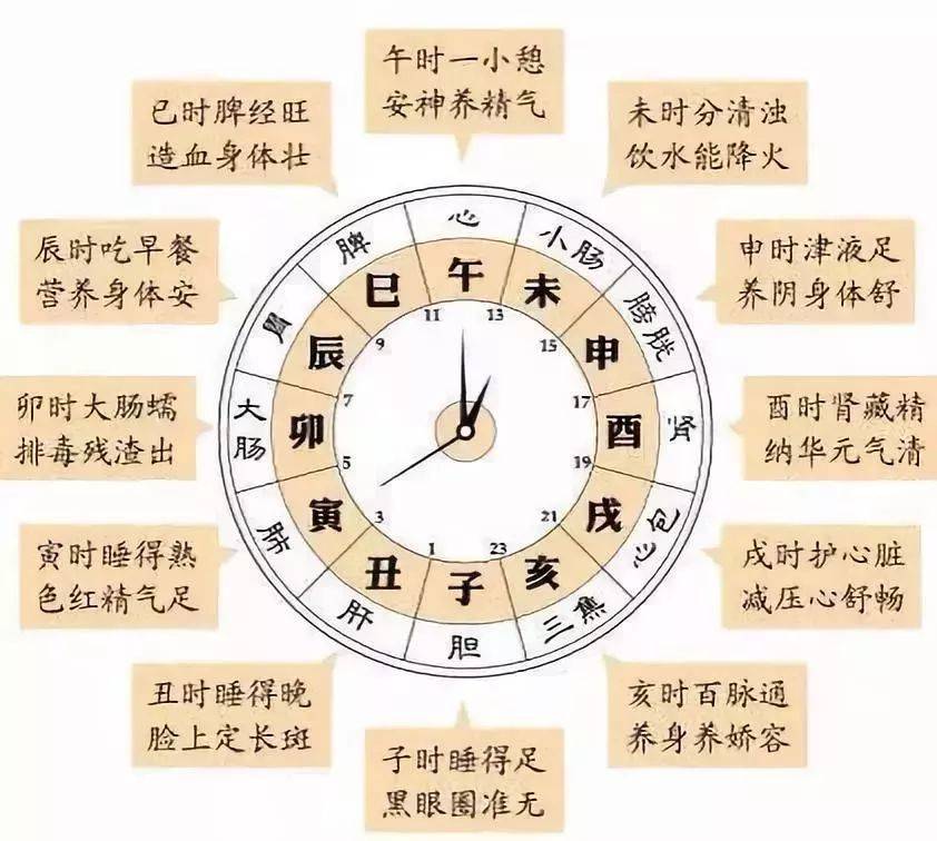 科普展现:地支对应时辰（地支对应时辰口诀）
