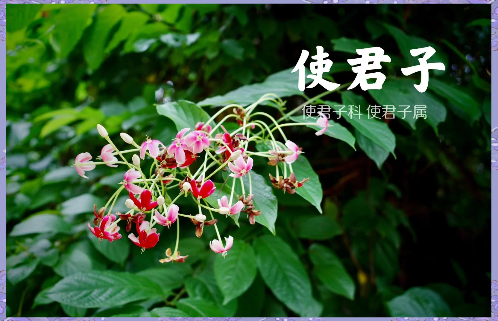 马别称及美名