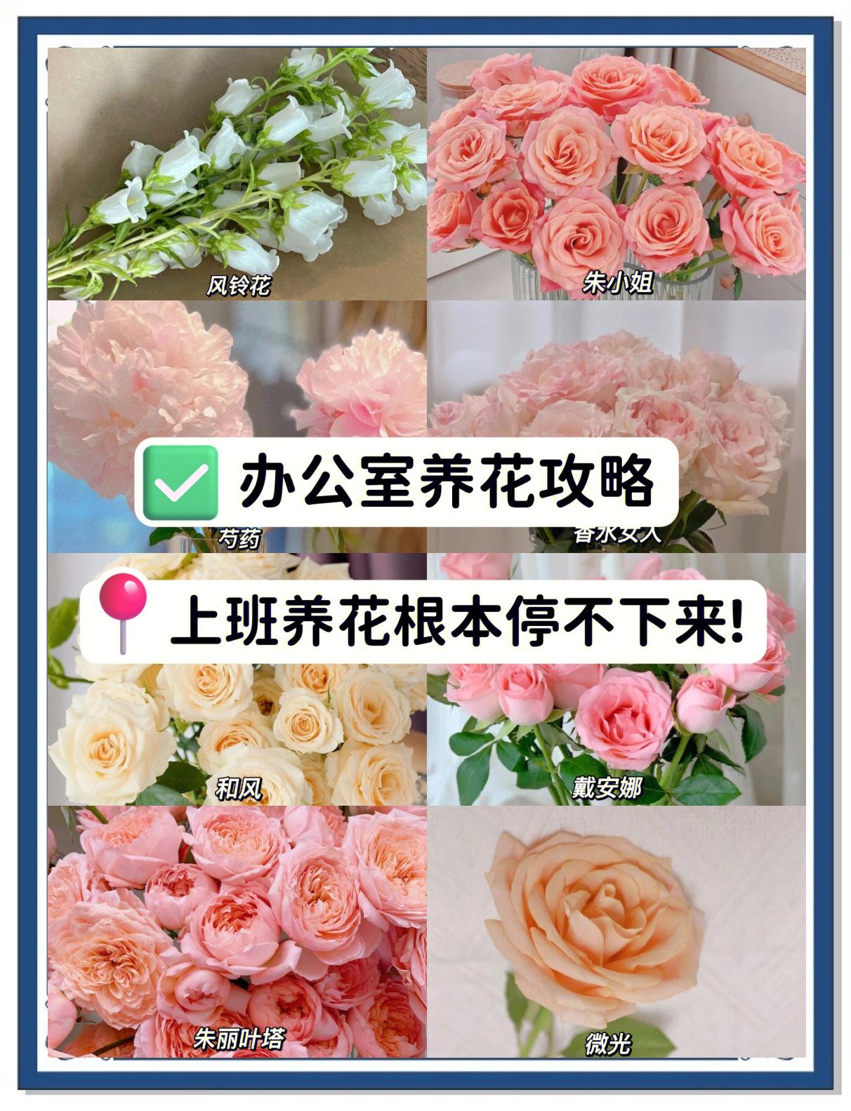 办公室摆花忌讳