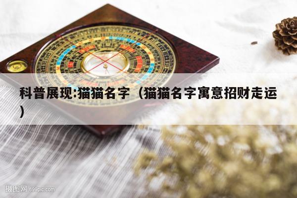 科普展现:猫猫名字（猫猫名字寓意招财走运）