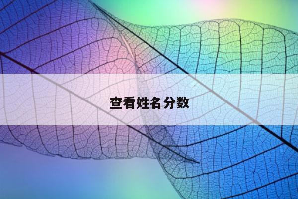查看姓名分数