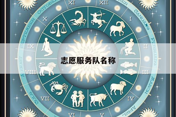 志愿服务队名称