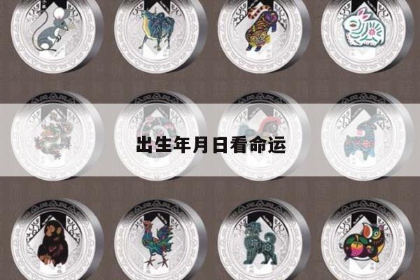 出生年月日看命运