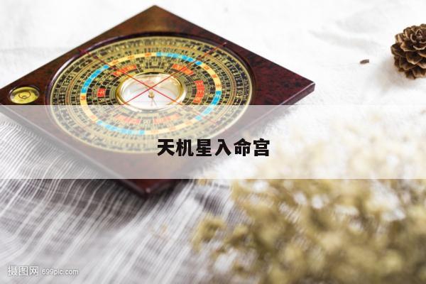 天机星入命宫