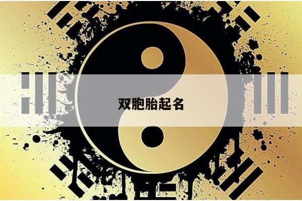 双胞胎起名