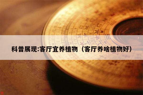 2025年5月17日 第2页