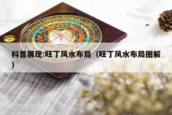 科普展现:旺丁风水布局（旺丁风水布局图解）
