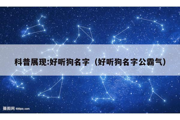 科普展现:好听狗名字（好听狗名字公霸气）