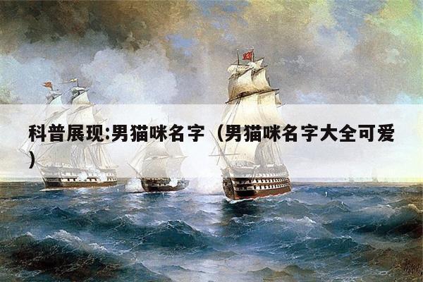 科普展现:男猫咪名字（男猫咪名字大全可爱）