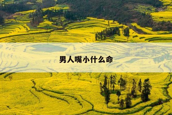 男人嘴小什么命