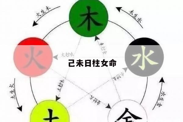 己未日柱女命
