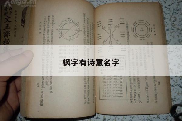 枫字有诗意名字