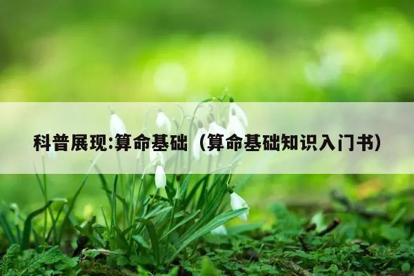 科普展现:算命基础（算命基础知识入门书）