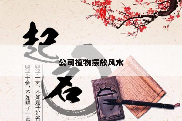 公司植物摆放风水