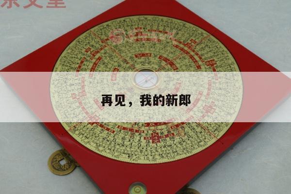 再见，我的新郎