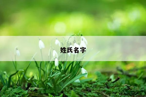 姓氏名字