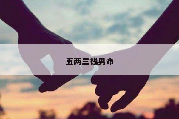 五两三钱男命
