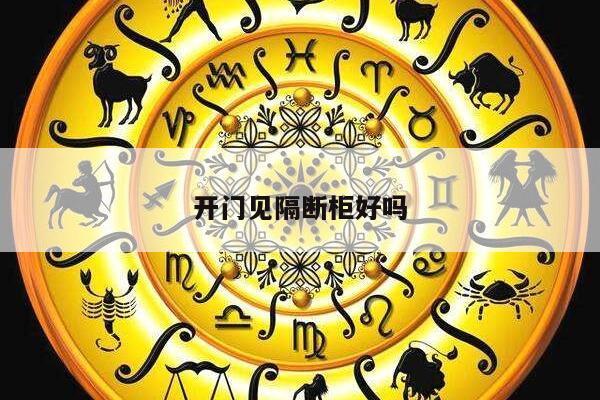 开门见隔断柜好吗