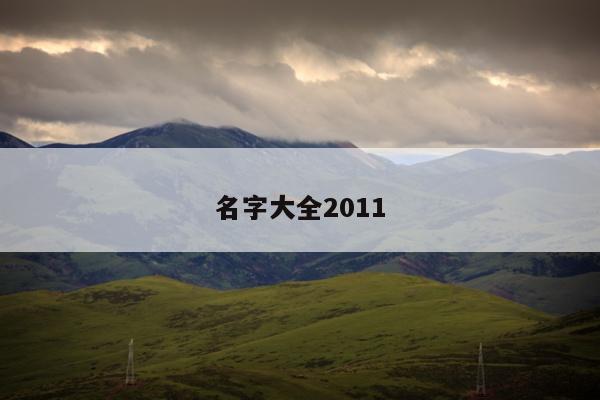 名字大全2011