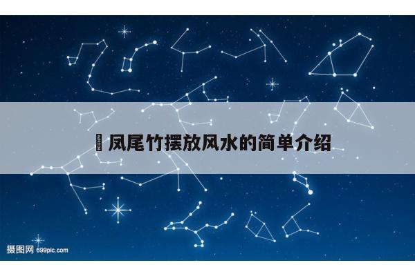​凤尾竹摆放风水的简单介绍