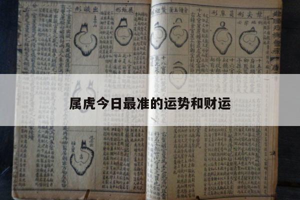 属虎今日最准的运势和财运