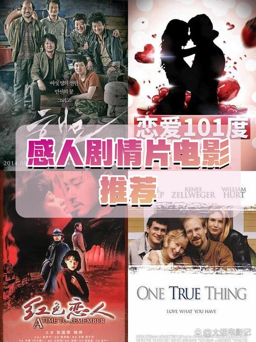 101影视网剧情篇播放,101影视网剧情篇播放在线观看