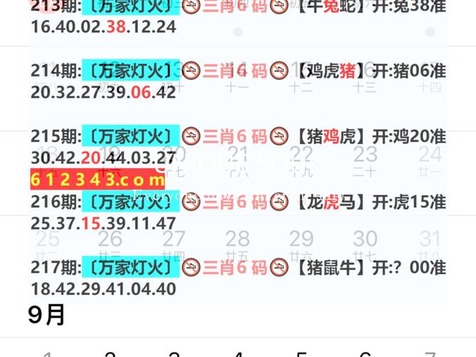 2024年新奥特开奖记录查询表,2024年新奥特开奖记录查询表图片
