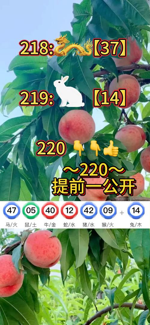 澳门百万资料库,澳门百万资料库2