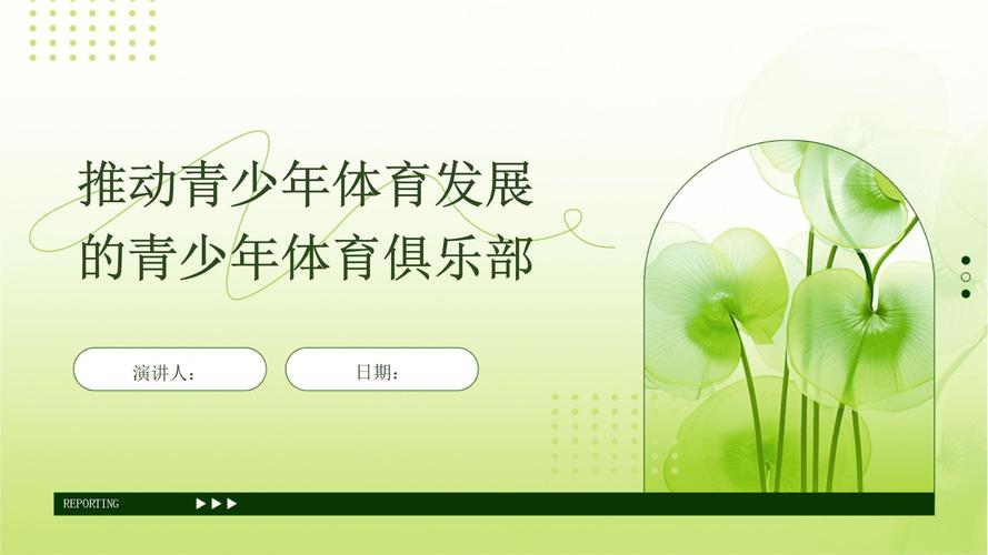 青少年体育治理,青少年体育治理的理想模式