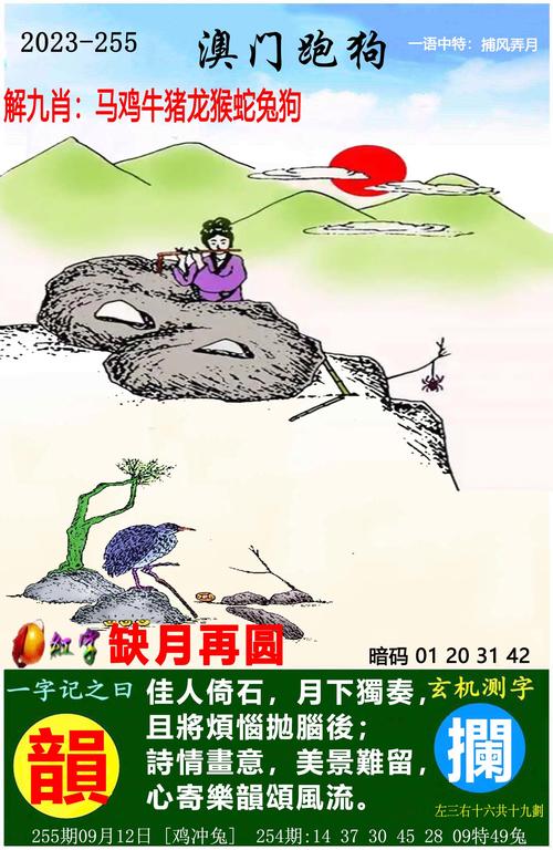 六合资免费料大全,100%最准的一肖