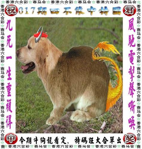 香港猜生肖,香港猜生肖论坛