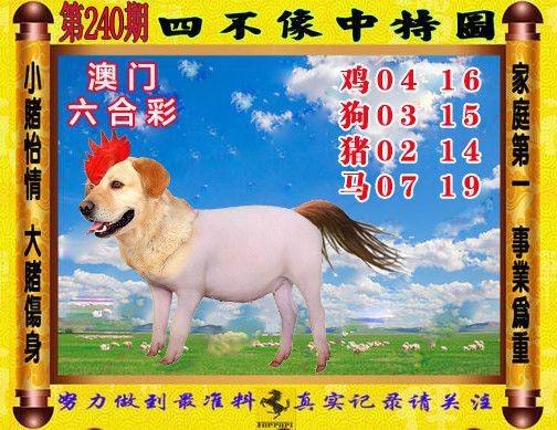 澳门九龙资料论坛新手攻略,澳门九龙图库安装下载