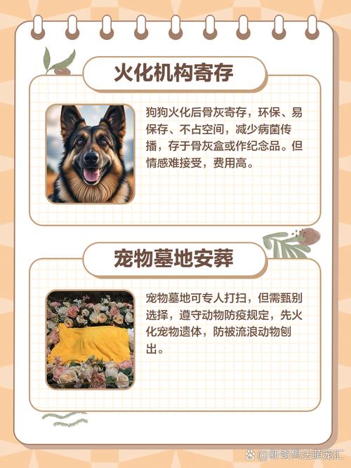 来到这个世上,狗狗死后多久可以投胎重新来到这个世上