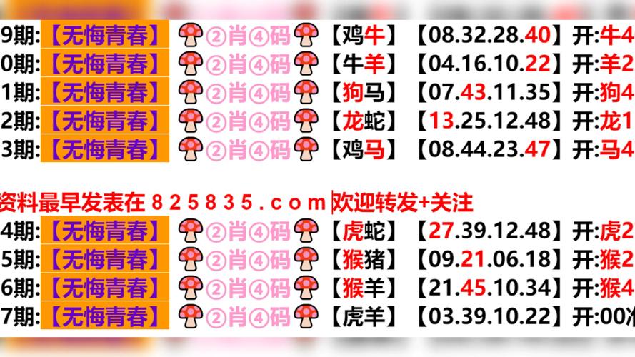 今晚澳门特马多少号,澳门今晚上特马定了