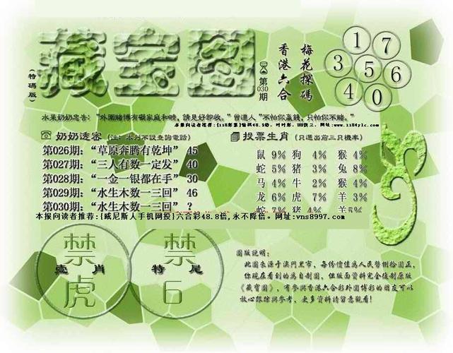 澳门水果奶奶免费资料论坛,新澳门开奖记录查询今天
