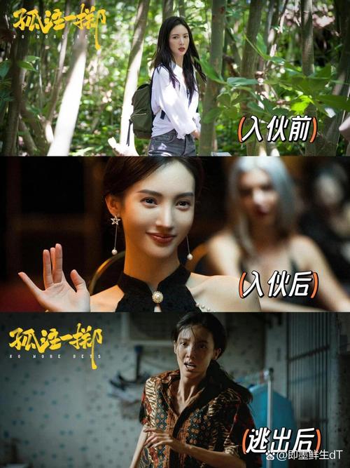 电影网孤注一掷,电影网孤注一掷在线观看