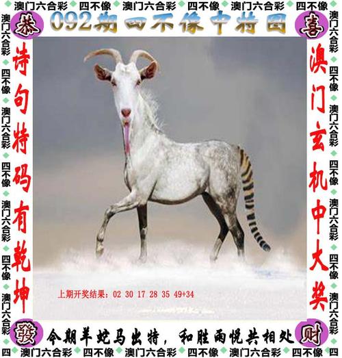 管家婆四肖八码精选期,管家婆四肖八码准稳