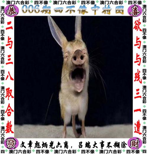 香港四肖中特期期准精选特色,四肖中特期期准香港一肖中特期期